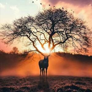 Meet your Posher, Javier